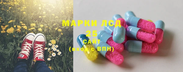 эйфоретик Медногорск