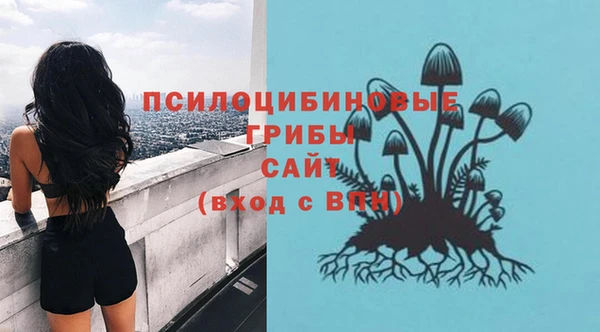 первитин Мегион