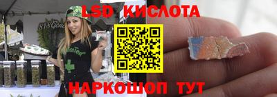 шишки Аргун
