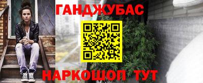 шишки Аргун