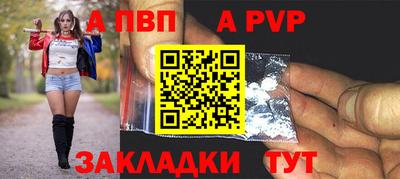 шишки Аргун