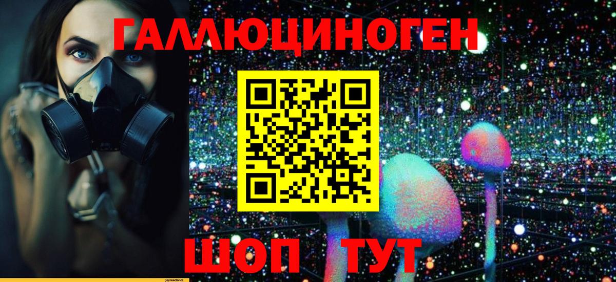 Галлюциногенные грибы Psilocybe Коломна