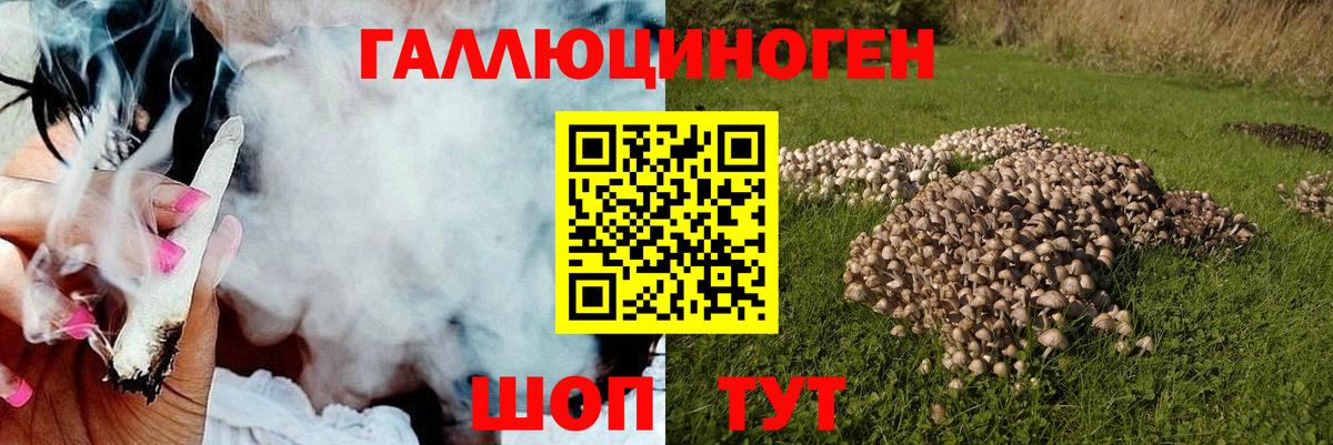 Псилоцибиновые грибы мицелий  Вход с VPN  Коломна  дарнет шоп  Галлюциногенные грибы GOLDEN TEACHER 